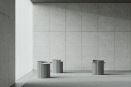 A minimalist room with concrete walls, DS-5010 pedestal tables by Simon Busse Studio for de Sede, soft light from left windows. 